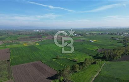 BİGA BALIKLIÇEŞME'DE 7.5 DÖNÜMLÜK YATIRIM FIRSATI