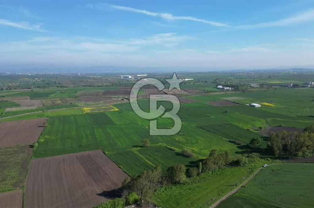 BİGA BALIKLIÇEŞME'DE 7.5 DÖNÜMLÜK YATIRIM FIRSATI