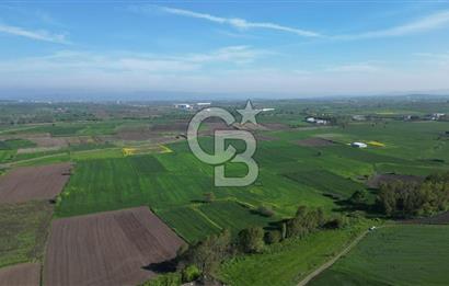BİGA BALIKLIÇEŞME'DE 7.5 DÖNÜMLÜK YATIRIM FIRSATI