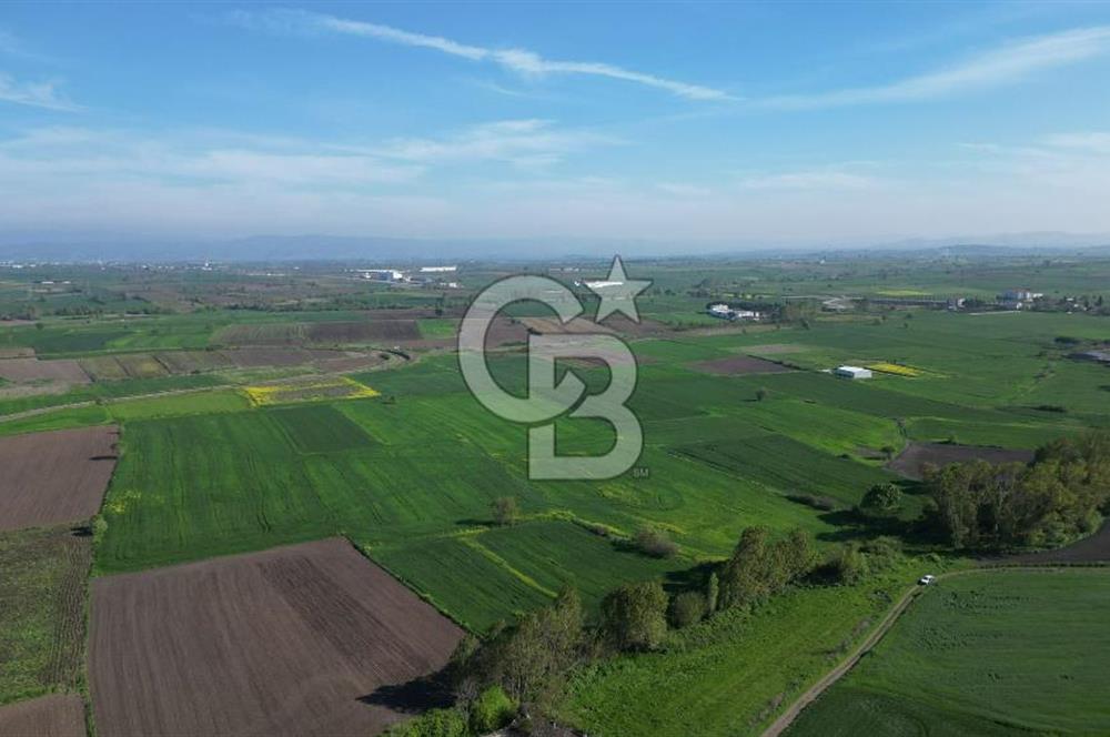 BİGA BALIKLIÇEŞME'DE 7.5 DÖNÜMLÜK YATIRIM FIRSATI