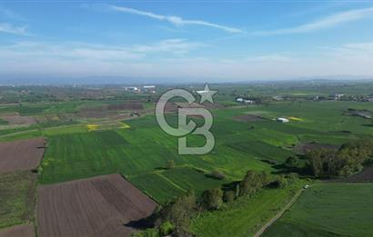 BİGA BALIKLIÇEŞME'DE 7.5 DÖNÜMLÜK YATIRIM FIRSATI