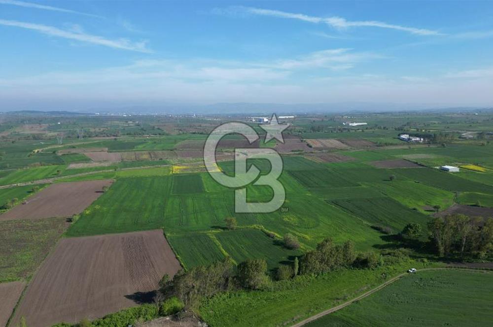 BİGA BALIKLIÇEŞME'DE 7.5 DÖNÜMLÜK YATIRIM FIRSATI