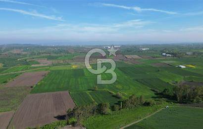 BİGA BALIKLIÇEŞME'DE 7.5 DÖNÜMLÜK YATIRIM FIRSATI