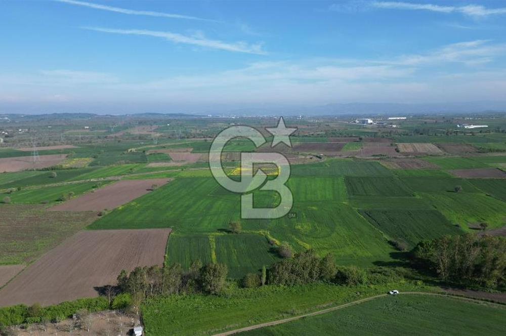 BİGA BALIKLIÇEŞME'DE 7.5 DÖNÜMLÜK YATIRIM FIRSATI