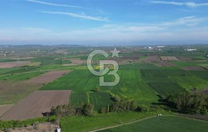 BİGA BALIKLIÇEŞME'DE 7.5 DÖNÜMLÜK YATIRIM FIRSATI