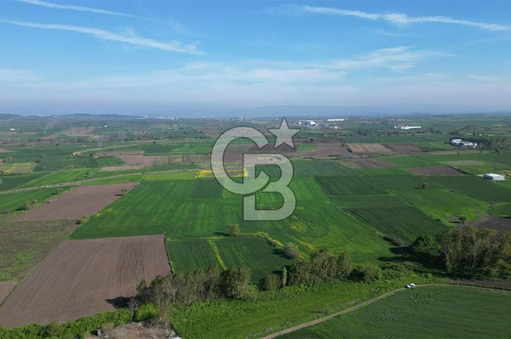 BİGA BALIKLIÇEŞME'DE 7.5 DÖNÜMLÜK YATIRIM FIRSATI