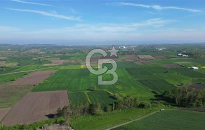 BİGA BALIKLIÇEŞME'DE 7.5 DÖNÜMLÜK YATIRIM FIRSATI