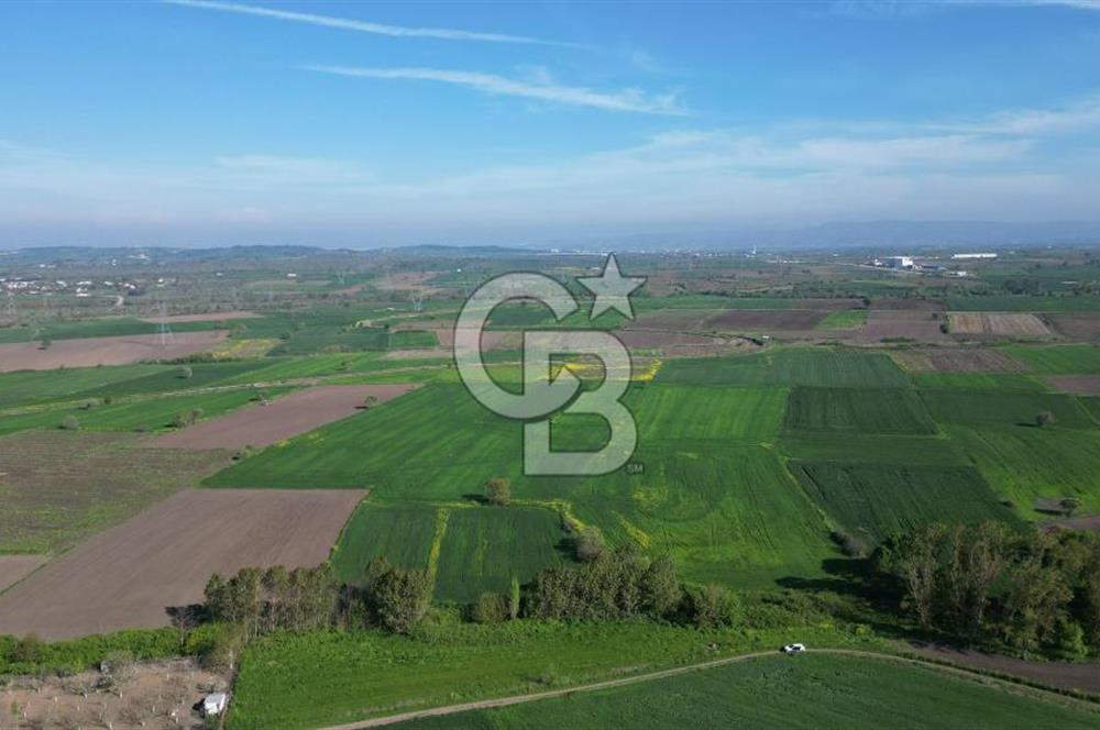 BİGA BALIKLIÇEŞME'DE 7.5 DÖNÜMLÜK YATIRIM FIRSATI