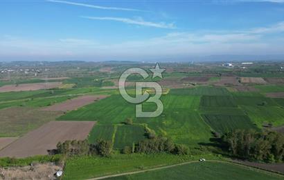BİGA BALIKLIÇEŞME'DE 7.5 DÖNÜMLÜK YATIRIM FIRSATI