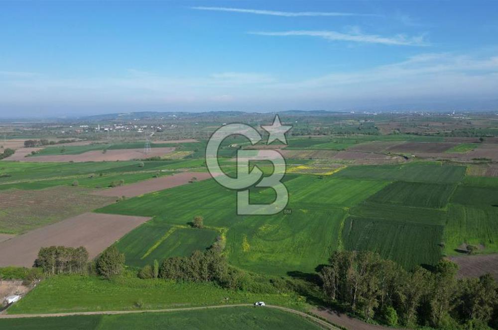 BİGA BALIKLIÇEŞME'DE 7.5 DÖNÜMLÜK YATIRIM FIRSATI