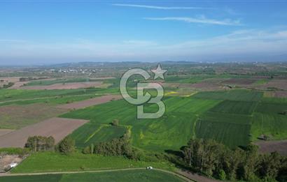 BİGA BALIKLIÇEŞME'DE 7.5 DÖNÜMLÜK YATIRIM FIRSATI
