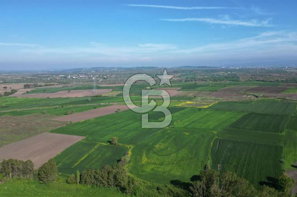BİGA BALIKLIÇEŞME'DE 7.5 DÖNÜMLÜK YATIRIM FIRSATI