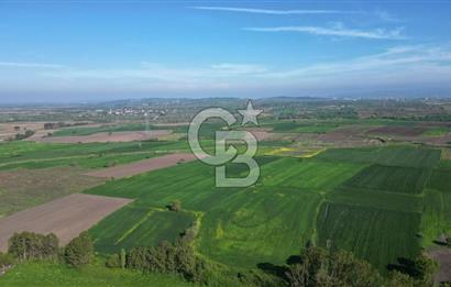 BİGA BALIKLIÇEŞME'DE 7.5 DÖNÜMLÜK YATIRIM FIRSATI