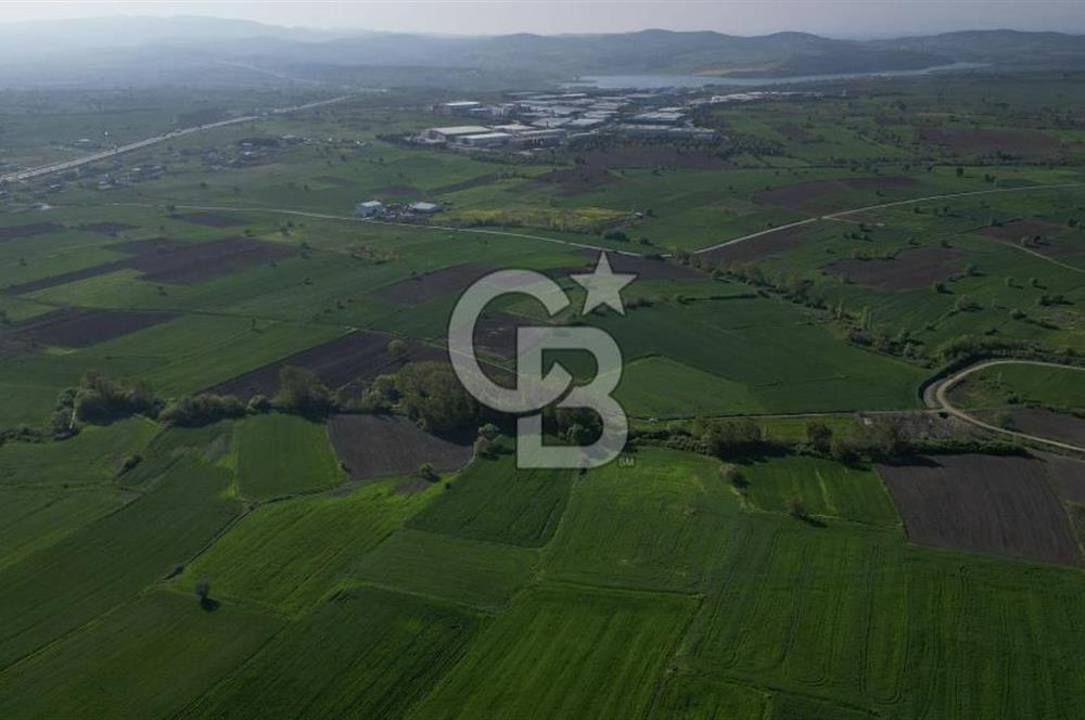 BİGA BALIKLIÇEŞME'DE 7.5 DÖNÜMLÜK YATIRIM FIRSATI