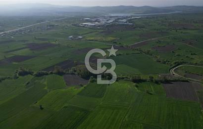 BİGA BALIKLIÇEŞME'DE 7.5 DÖNÜMLÜK YATIRIM FIRSATI