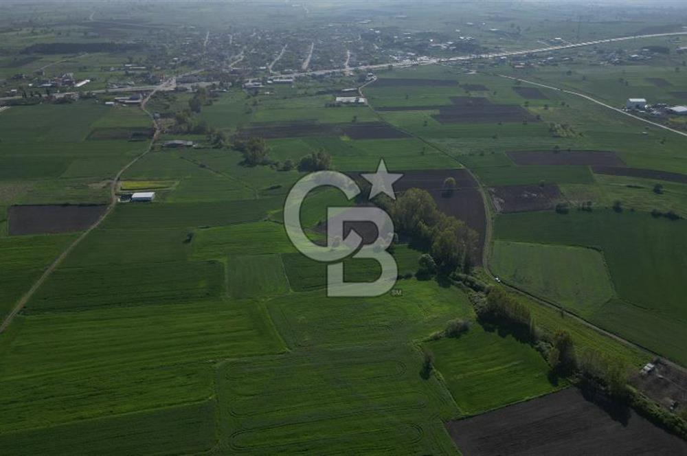BİGA BALIKLIÇEŞME'DE 7.5 DÖNÜMLÜK YATIRIM FIRSATI
