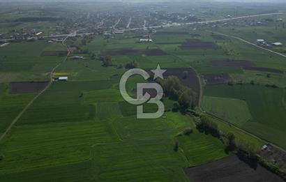 BİGA BALIKLIÇEŞME'DE 7.5 DÖNÜMLÜK YATIRIM FIRSATI