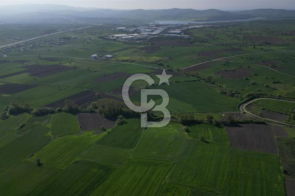 BİGA BALIKLIÇEŞME'DE 7.5 DÖNÜMLÜK YATIRIM FIRSATI