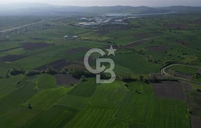BİGA BALIKLIÇEŞME'DE 7.5 DÖNÜMLÜK YATIRIM FIRSATI
