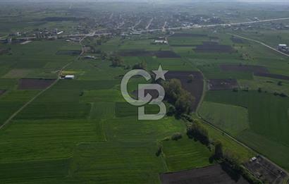 BİGA BALIKLIÇEŞME'DE 7.5 DÖNÜMLÜK YATIRIM FIRSATI