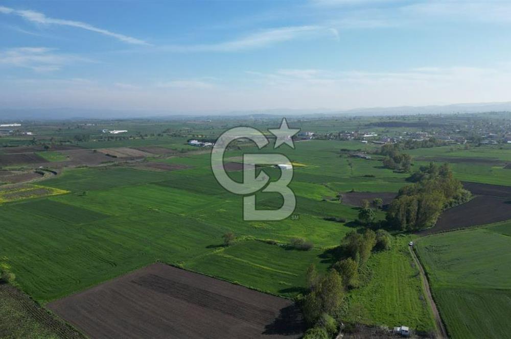 BİGA BALIKLIÇEŞME'DE 7.5 DÖNÜMLÜK YATIRIM FIRSATI