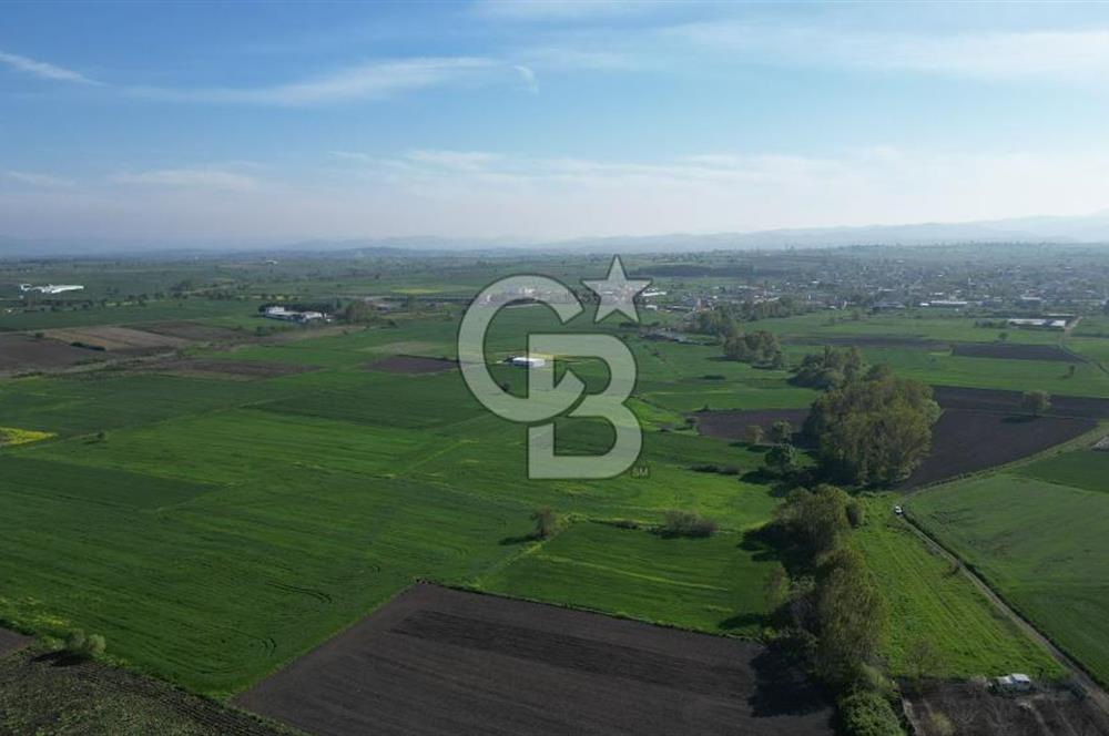 BİGA BALIKLIÇEŞME'DE 7.5 DÖNÜMLÜK YATIRIM FIRSATI