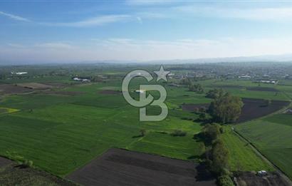 BİGA BALIKLIÇEŞME'DE 7.5 DÖNÜMLÜK YATIRIM FIRSATI
