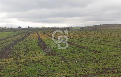 BİGA BALIKLIÇEŞME'DE 7.5 DÖNÜMLÜK YATIRIM FIRSATI