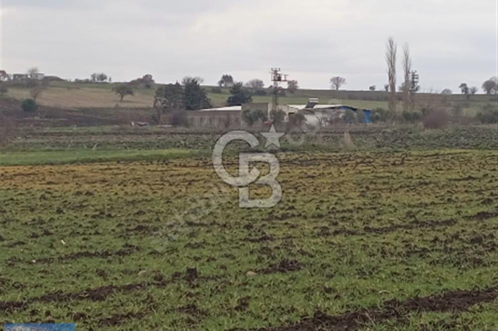 BİGA BALIKLIÇEŞME'DE 7.5 DÖNÜMLÜK YATIRIM FIRSATI