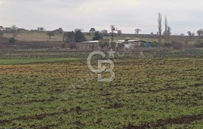 BİGA BALIKLIÇEŞME'DE 7.5 DÖNÜMLÜK YATIRIM FIRSATI