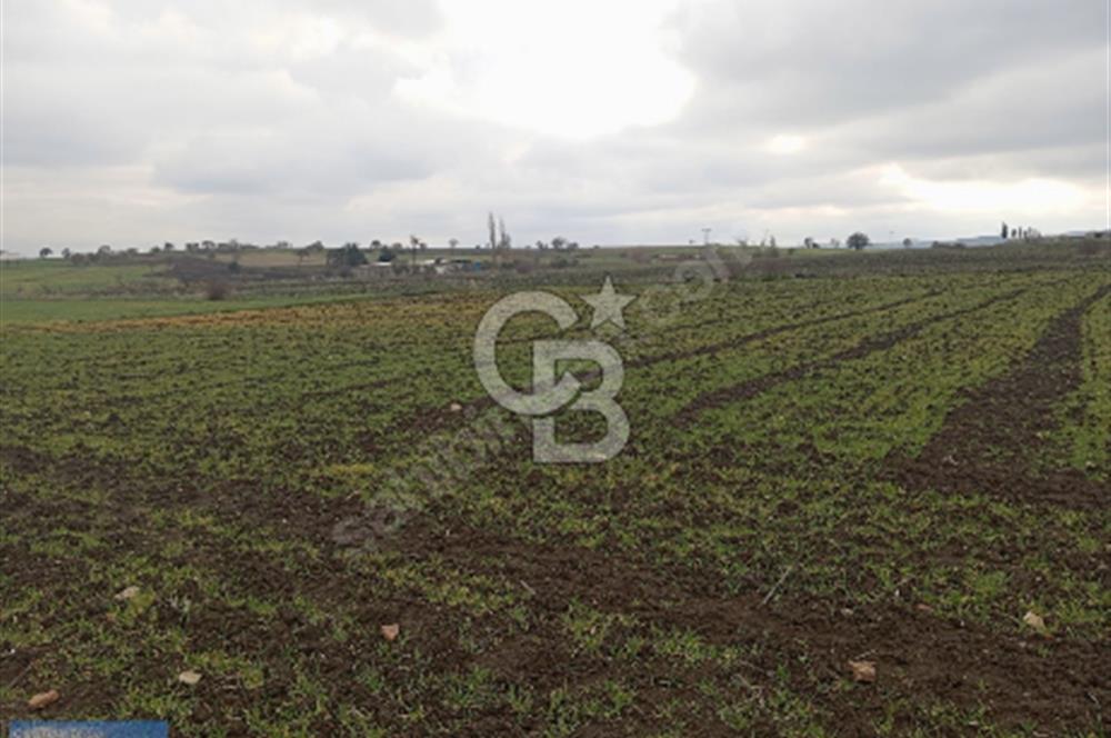 BİGA BALIKLIÇEŞME'DE 7.5 DÖNÜMLÜK YATIRIM FIRSATI