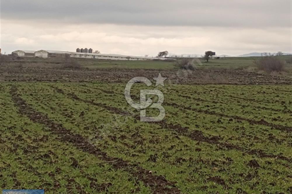 BİGA BALIKLIÇEŞME'DE 7.5 DÖNÜMLÜK YATIRIM FIRSATI