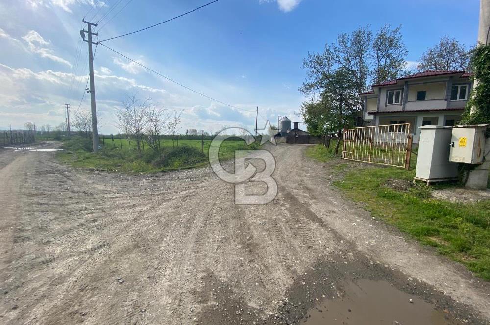 HAZIR VERİMLİ FINDIKLIK! 7560 M2 YERLEŞİM ALANINA SINIR