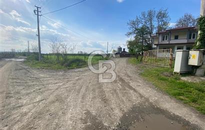 HAZIR VERİMLİ FINDIKLIK! 7560 M2 YERLEŞİM ALANINA SINIR