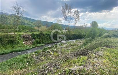 HAZIR VERİMLİ FINDIKLIK! 7560 M2 YERLEŞİM ALANINA SINIR
