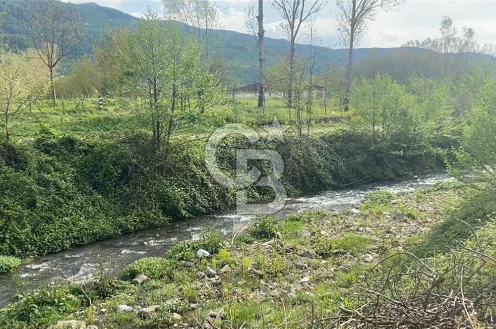 HAZIR VERİMLİ FINDIKLIK! 7560 M2 YERLEŞİM ALANINA SINIR