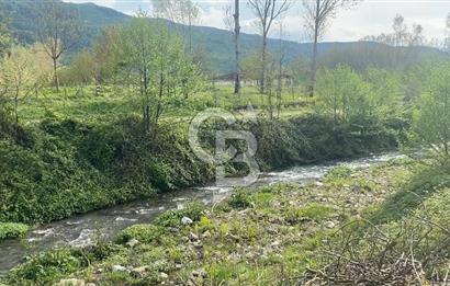 HAZIR VERİMLİ FINDIKLIK! 7560 M2 YERLEŞİM ALANINA SINIR