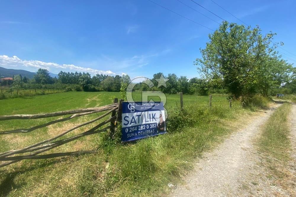 DOĞA İÇİNDE YATIRIM FIRSATI-CAMİLİ MAHALLES'İNDE 3216 M2 ARSA