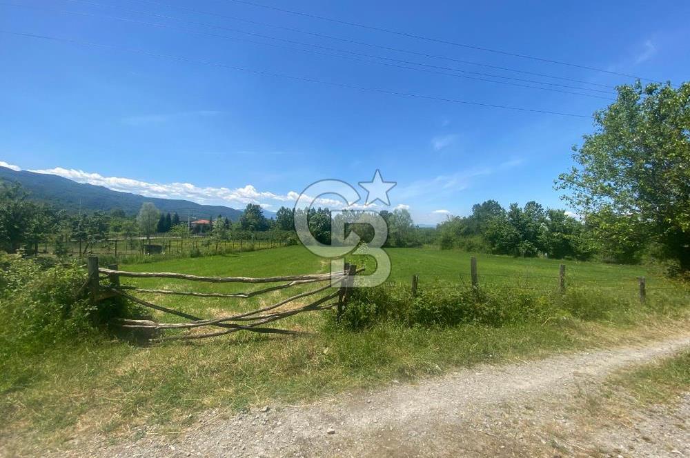 DOĞA İÇİNDE YATIRIM FIRSATI-CAMİLİ MAHALLES'İNDE 3216 M2 ARSA