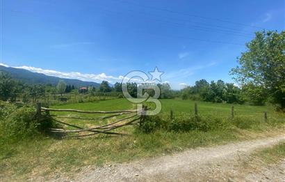 DOĞA İÇİNDE YATIRIM FIRSATI-CAMİLİ MAHALLES'İNDE 3216 M2 ARSA