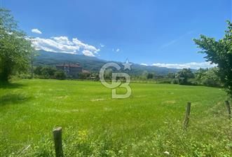 DOĞA İÇİNDE YATIRIM FIRSATI-CAMİLİ MAHALLES'İNDE 3216 M2 ARSA