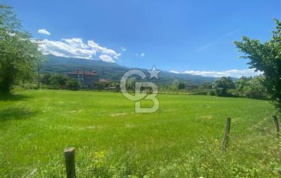 DOĞA İÇİNDE YATIRIM FIRSATI-CAMİLİ MAHALLES'İNDE 3216 M2 ARSA