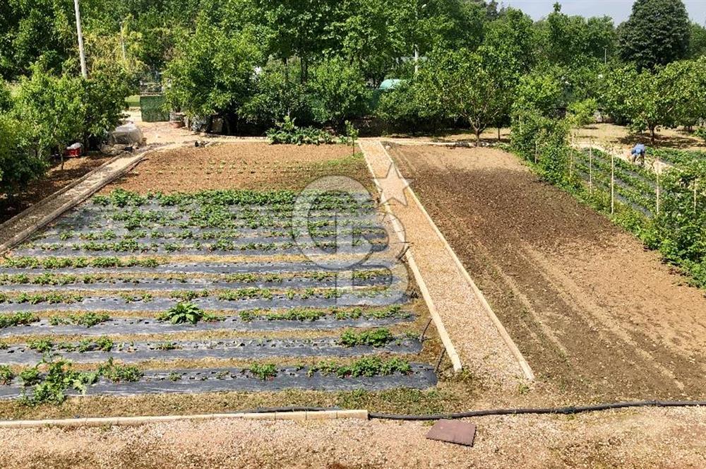 CB CLASS KESTEL DEREKIZIK YOLA CEPHE 1.404m² BAKIMLI HAZIR BAHÇE