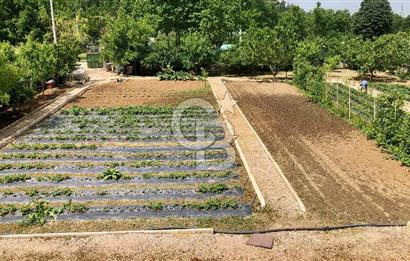 CB CLASS KESTEL DEREKIZIK YOLA CEPHE 1.404m² BAKIMLI HAZIR BAHÇE