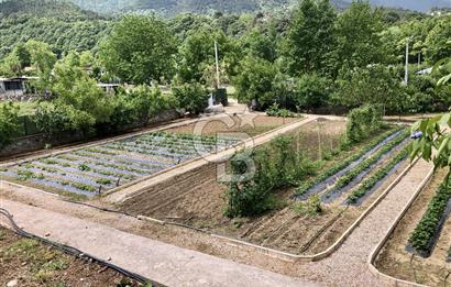 CB CLASS KESTEL DEREKIZIK YOLA CEPHE 1.404m² BAKIMLI HAZIR BAHÇE