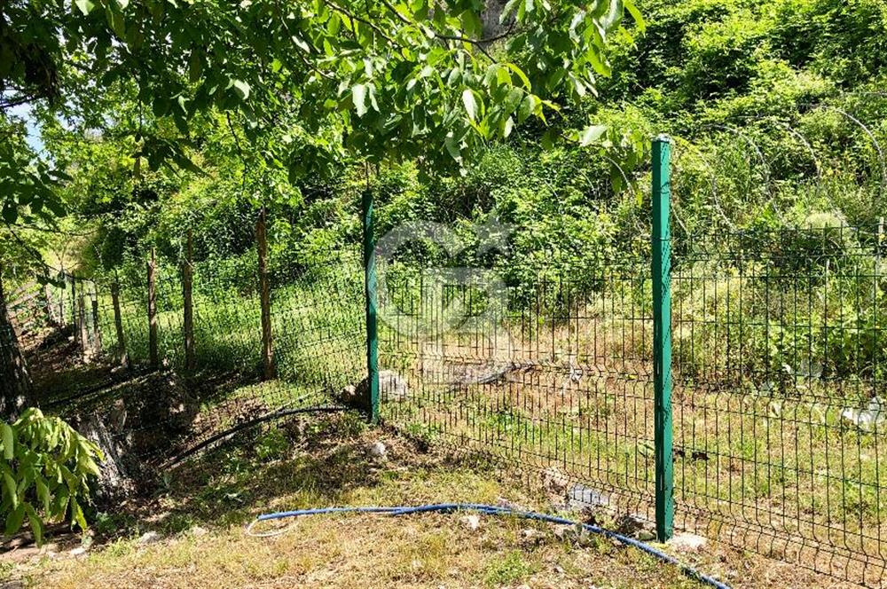 CB CLASS KESTEL DEREKIZIK YOLA CEPHE 1.404m² BAKIMLI HAZIR BAHÇE