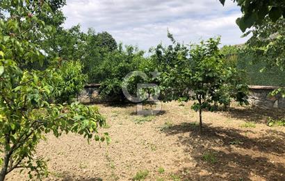 CB CLASS KESTEL DEREKIZIK YOLA CEPHE 1.404m² BAKIMLI HAZIR BAHÇE