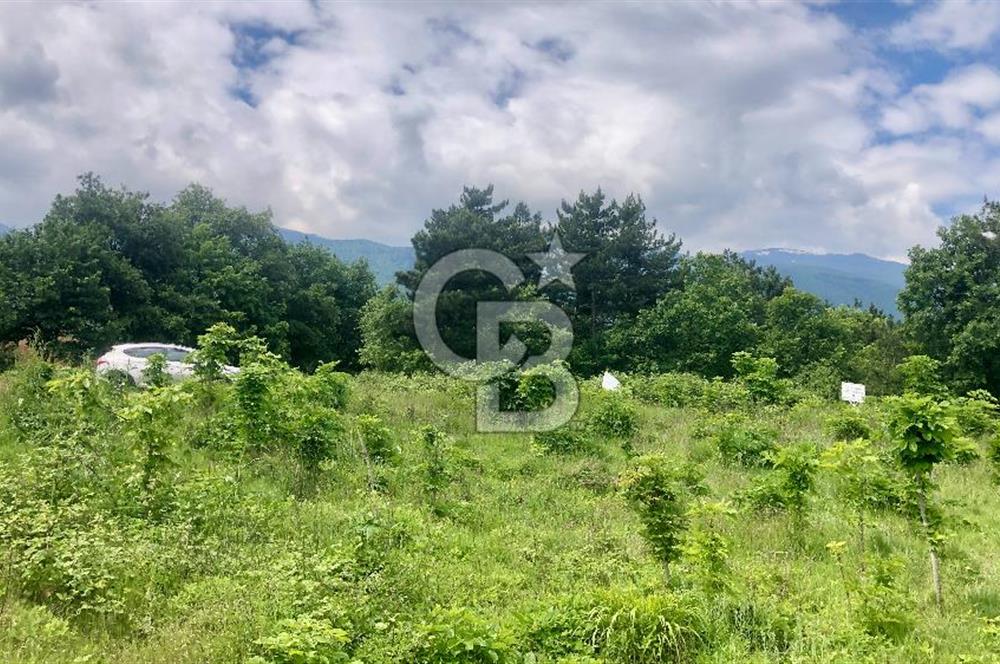 CB CLASS KESTEL GÖZEDE KÖŞE PARSEL 3.302 m² MÜSTAKİL TARLA