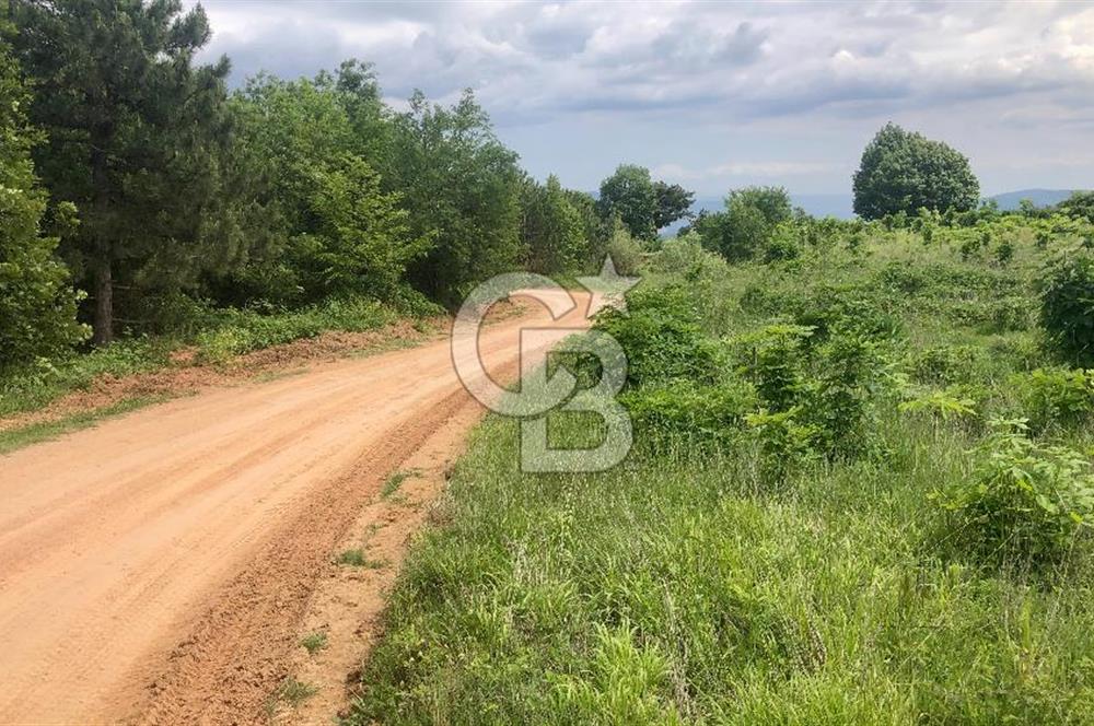 CB CLASS KESTEL GÖZEDE KÖŞE PARSEL 3.302 m² MÜSTAKİL TARLA