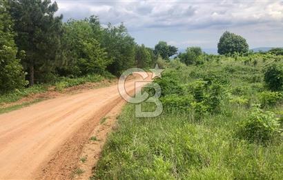 CB CLASS KESTEL GÖZEDE KÖŞE PARSEL 3.302 m² MÜSTAKİL TARLA